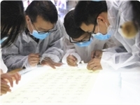 應(yīng)用報(bào)告：拉曼光譜技術(shù)在文檢領(lǐng)域中的應(yīng)用