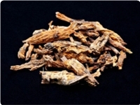 應(yīng)用報(bào)告：iCAP Q ICPMS測(cè)定中藥材樣品中V Cr Cu Ni Cd As和Pb元素含量